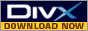 Divx Windows Media Video Codec